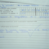 Денталия на Щорса