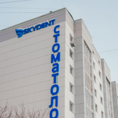SKYDENT на Новогодней