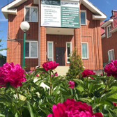 Клиника Доктора Мут