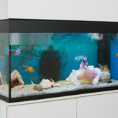 Стоматология «Аванта»