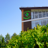 Инсайт, клиника наркологии и психотерапии