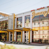 Золотая Линия на Демьяна Бедного