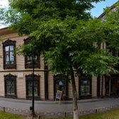 Стоматология «Стомо Дент»