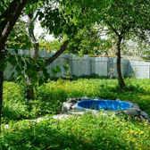 Санаторий «Синегорье»