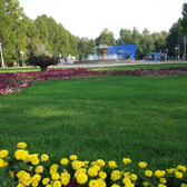 Санаторий «Здоровье»