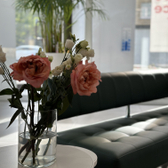 МИП, многопрофильная медицинская клиника