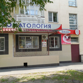 Элита на Пушкина