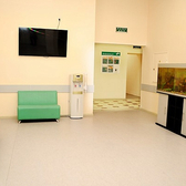 МЕДСИ на Пречистенке