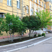 Городская поликлиника № 2