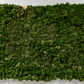 Elegante, Центр Электроэпиляции