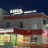 LIIVA online