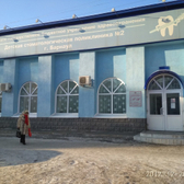 Детская стоматологическая поликлиника №2 на Попова