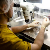 Екатеринбургский центр вспомогательной репродукции «Партус»