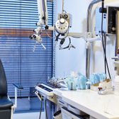 Чайка в Крылатском