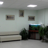 Ковчег, медицинский реабилитационный центр