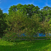 Детская областная больница - Инфекционная на Лескова