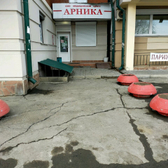 Арника на проспекте Жукова