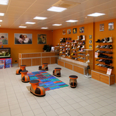 Персей , Ортопедический центр