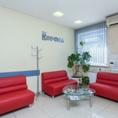 Корона на Пустовойта