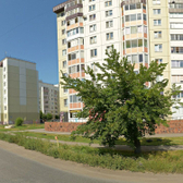 KDL на 12 Декабря