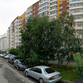 Скирт на Алексеева