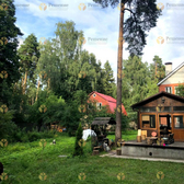 Решение, клиника лечения наркомании и алкоголизма