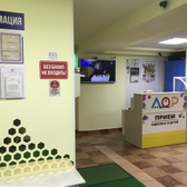 Кабинет ЛОР-врача Дементьева