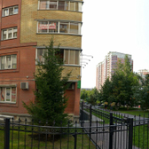 Ситилаб на Семьи Шамшиных
