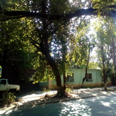 Поликлиника №5 на Победы 55