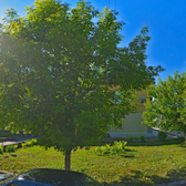 Стоматология «Дентис»