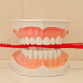 Стоматология «М-Дентал»