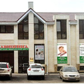 Авиценна на Толстого