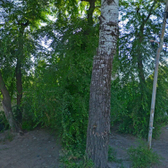 Областная детская поликлиника №2