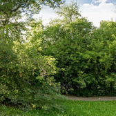 Кабинет репродуктивного здоровья на Котовского