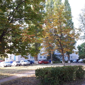 Городская поликлиника №1 на Комарова