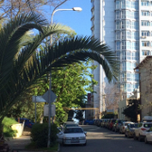 Лотос, оздоровительно- психологический центр