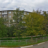 Специализированный стоматологический кабинет