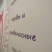 Стоматология «Здравушка»