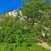 Женская консультация №1