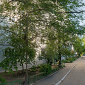 Медицинский центр «Мир здоровья»