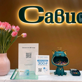 Савион на Северном