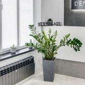 Dentgard, стоматологическая клиника