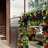 ЛевинСтом (ранее Дентал Арт Галлери), Стоматология