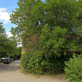 Стоматология «Дентал бьюти»