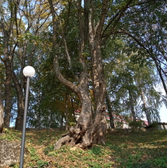 Детская городская больница им. Филиппского