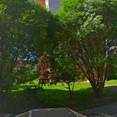 Стоматологический кабинет «Олант»