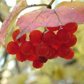 Санаторий «Прокопьевский»