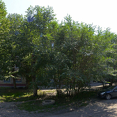 Женская консультация роддома №6 на 2-й Любинской