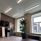 Точки роста, клиника трихологии и пересадки волос