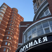 Орхидея на Университетской